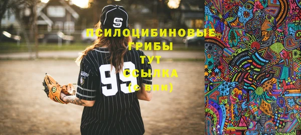 крисы Верея
