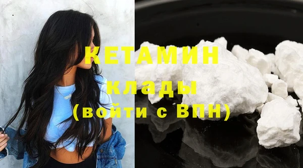 крисы Верея