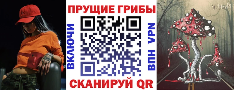 Купить где  Кувандык  Псилоцибиновые грибы Cubensis 
