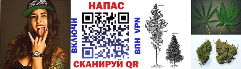 Бошки Шишки THC 21% Купить где Кувандык